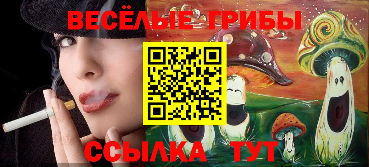 Галлюциногенные грибы Magic Shrooms  Вход с VPN  Тулун 